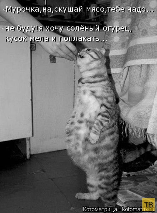 ������ ����������� ������ (49 ����)