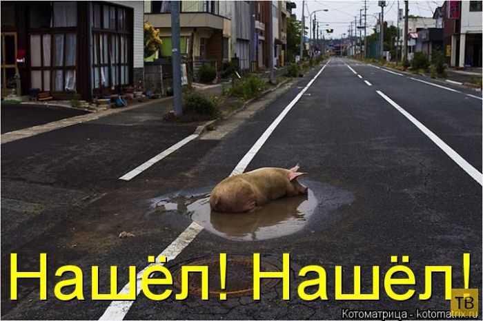 ������ ����������� ������ (49 ����)