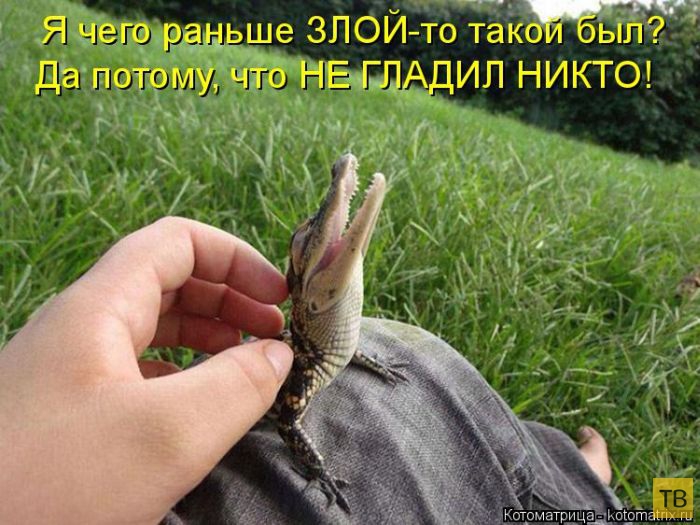 ������ ����������� ������ (49 ����)