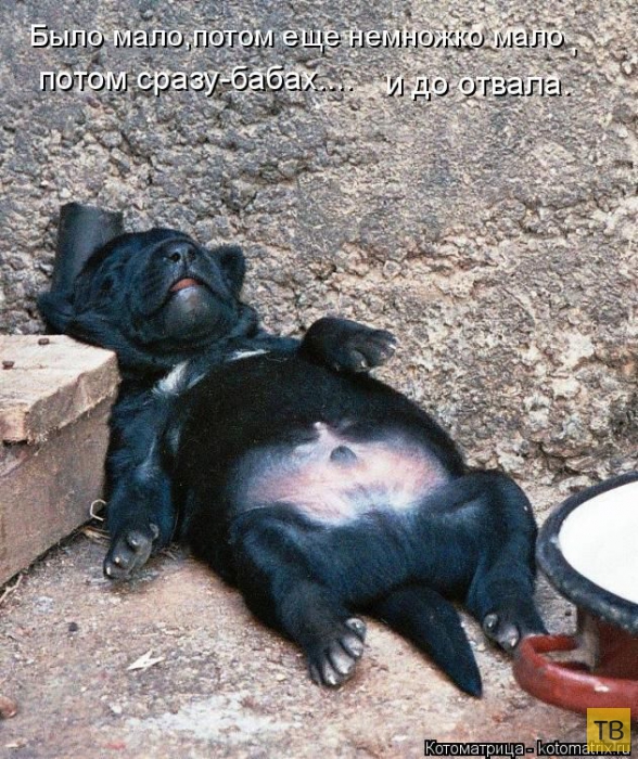 ������ ����������� ������ (49 ����)