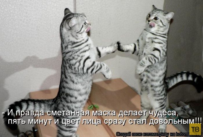 ������ ����������� ������ (49 ����)