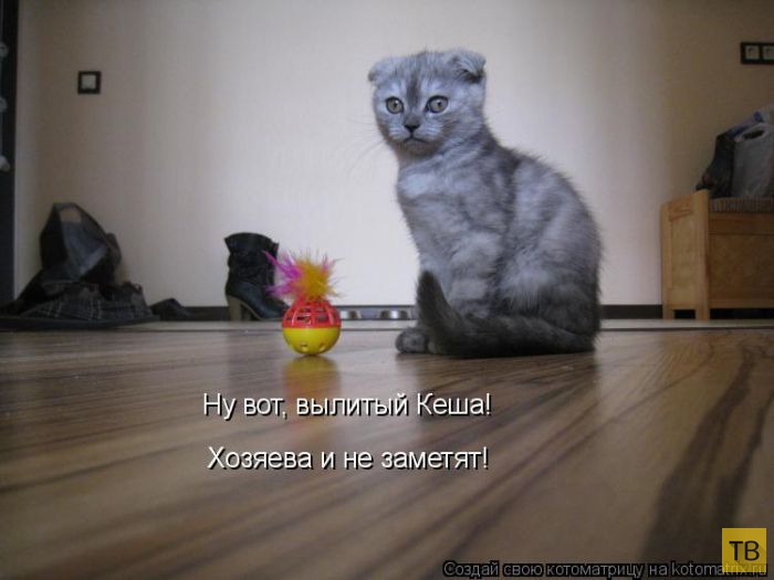 ������ ����������� ������ (49 ����)