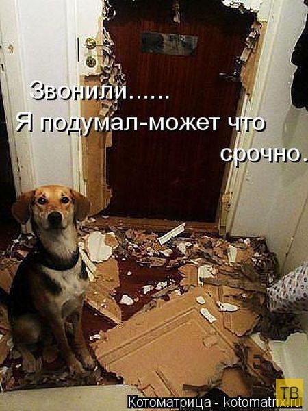 ������ ����������� ������ (49 ����)