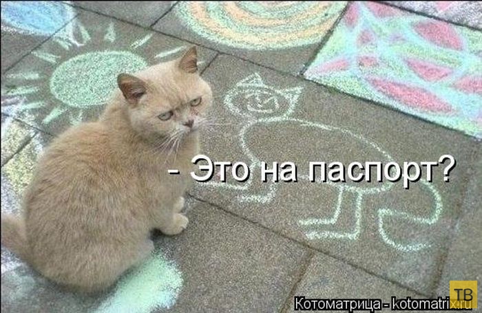 ������ ����������� ������ (49 ����)