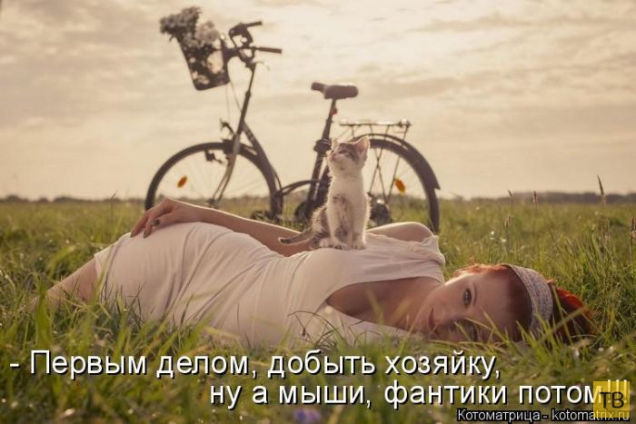 ������ ����������� ������ (49 ����)