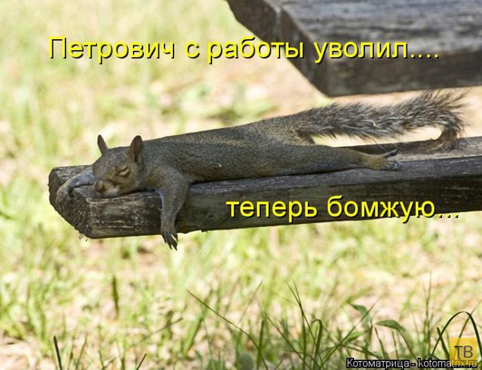 ������ ����������� ������ (49 ����)