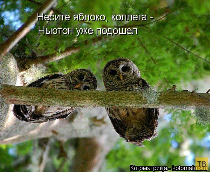 ������ ����������� ������ (49 ����)