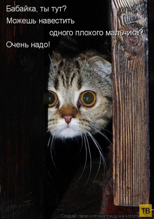 ������ ����������� ������ (49 ����)