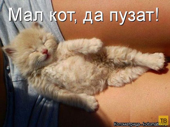 ������ ����������� ������ (49 ����)