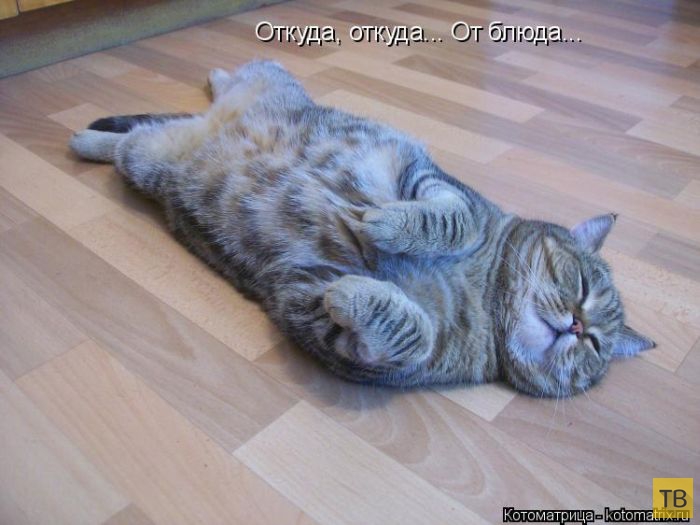 ������ ����������� ������ (49 ����)