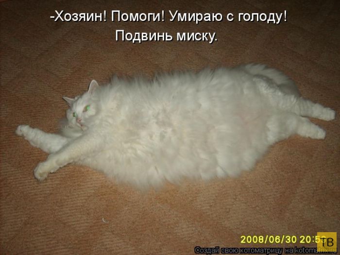 ������ ����������� ������ (49 ����)