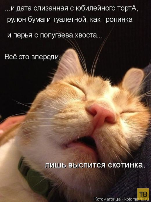 ������ ����������� ������ (49 ����)