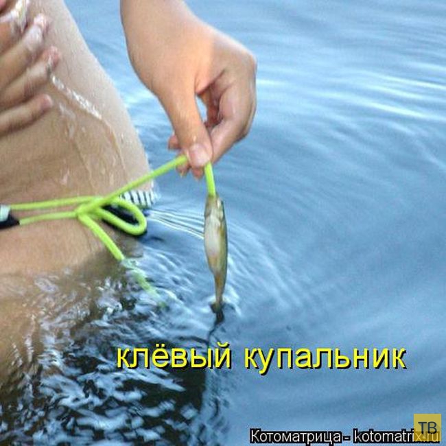 ������ ����������� ������ (49 ����)