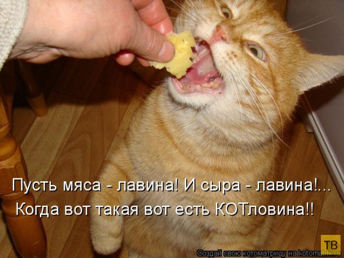 ������ ����������� ������ (49 ����)