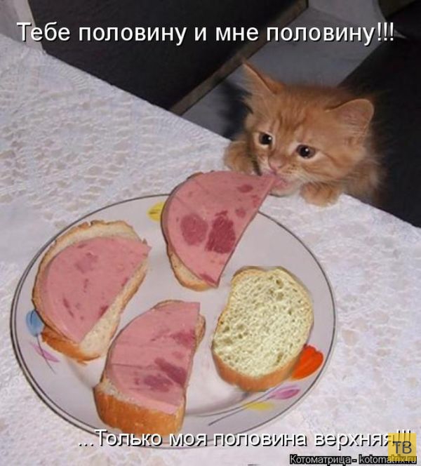 ������ ����������� ������ (49 ����)