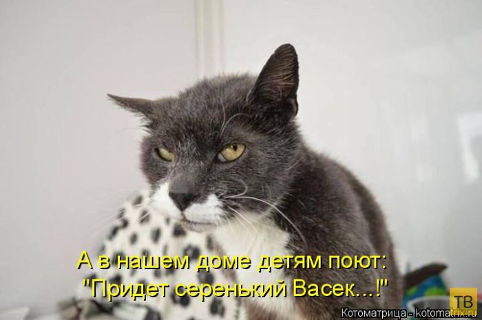 ������ ����������� ������ (49 ����)