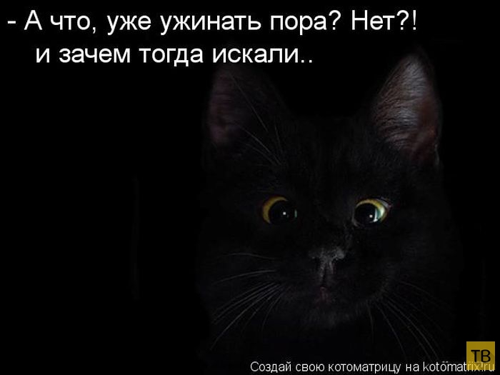 ������ ����������� ������ (49 ����)