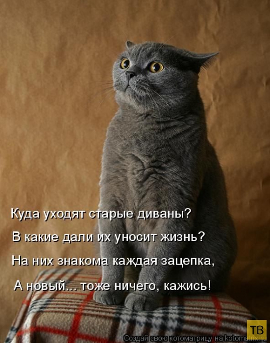 ������ ����������� ������ (49 ����)