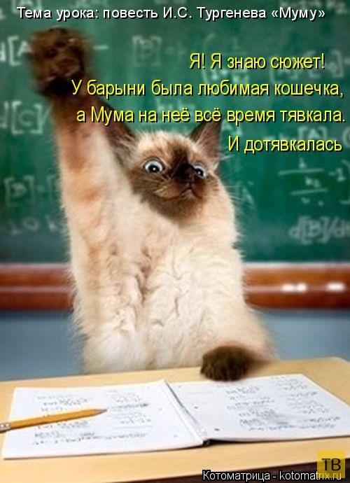 ������ ����������� ������ (49 ����)