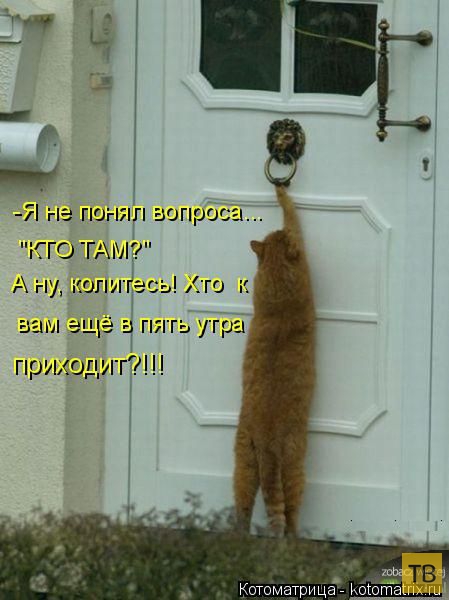 ������ ����������� ������ (49 ����)