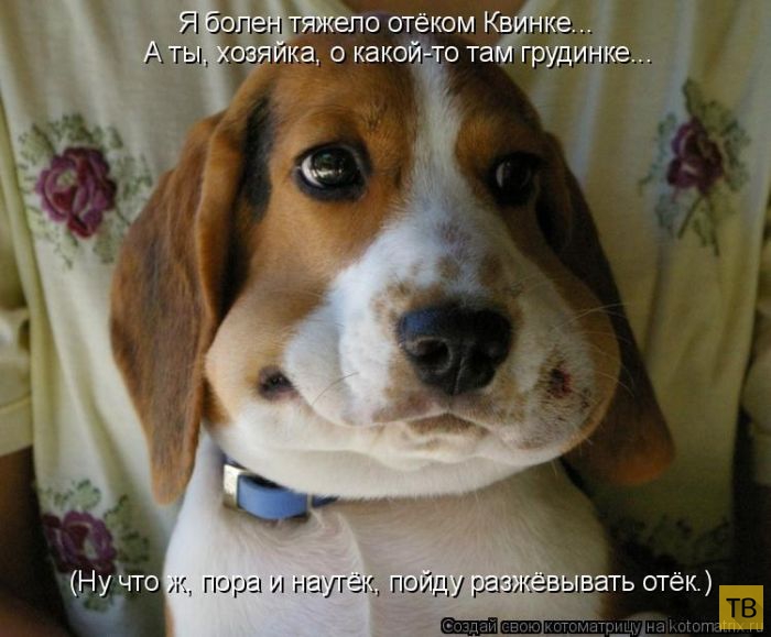 ������ ����������� ������ (49 ����)