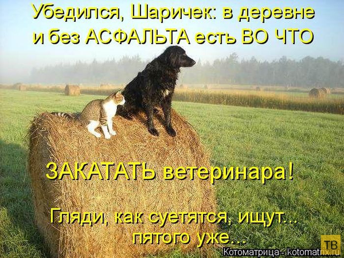 ������ ����������� ������ (49 ����)