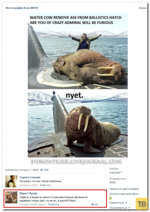 ���������� ����������� �� ���������� �����, ����� 202 (26 ����)