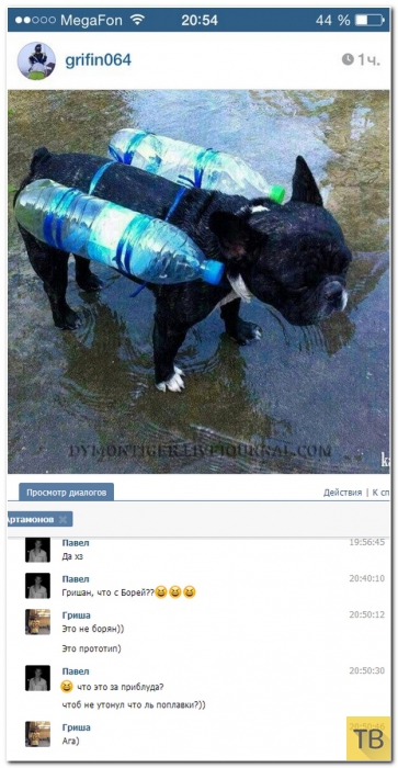 ���������� ����������� �� ���������� �����, ����� 202 (26 ����)