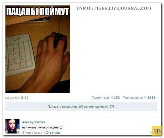 ���������� ����������� �� ���������� �����, ����� 202 (26 ����)