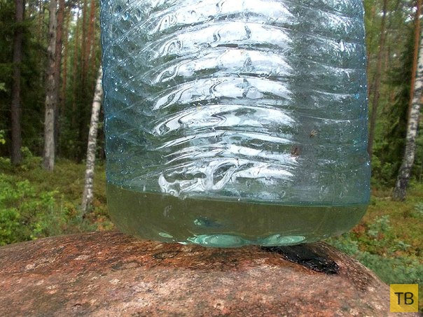 Фильтр для воды своими руками (8 фото)