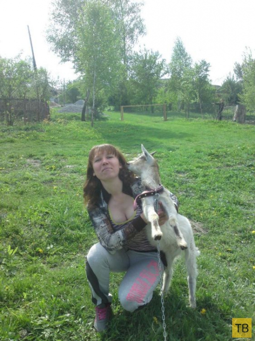 ��������� ������ ������ �� ���������� �����, ����� 2 (35 ����)