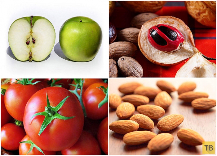 Топ 10: Ядовитые фрукты и овощи, ежедневно потребляемые нами в пищу (11 фото)