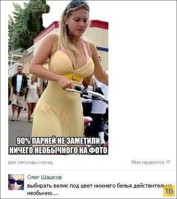 ���������� ����������� �� ���������� �����, ����� 203 (18 ����)