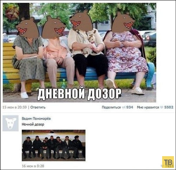 ���������� ����������� �� ���������� �����, ����� 203 (18 ����)