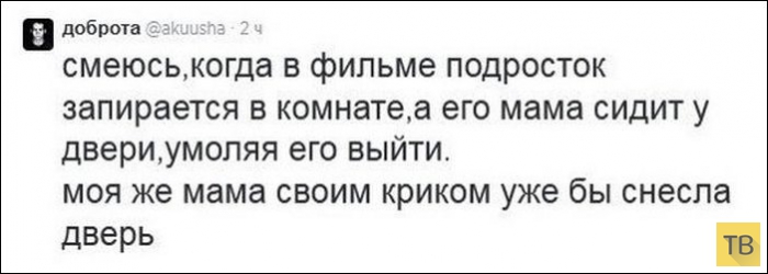 ���������� ����������� �� ���������� �����, ����� 203 (18 ����)