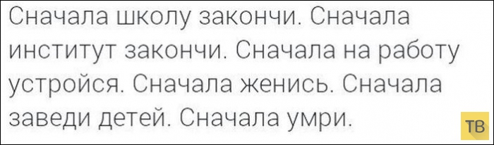 ���������� ����������� �� ���������� �����, ����� 203 (18 ����)