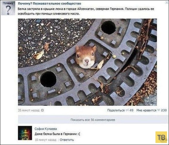 ���������� ����������� �� ���������� �����, ����� 203 (18 ����)