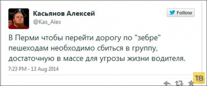 ���������� ����������� �� ���������� �����, ����� 203 (18 ����)