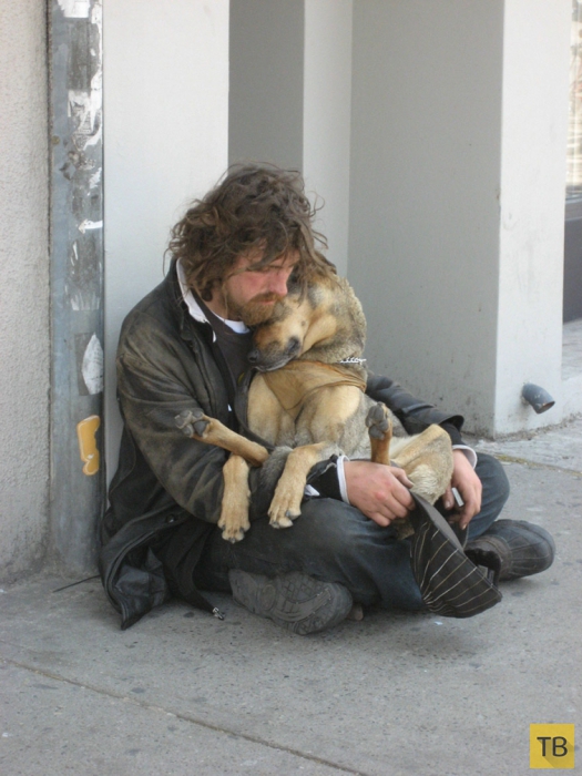 Трогательная дружба между бездомными и их собаками (13 фото)