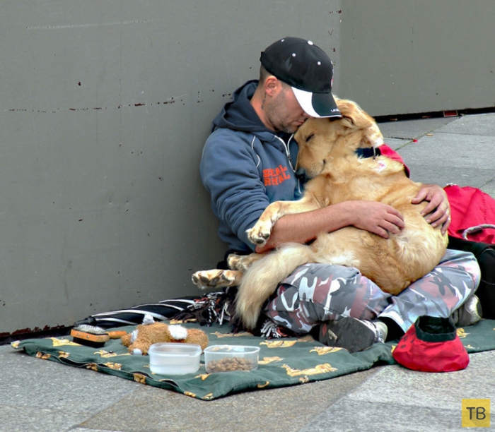 Трогательная дружба между бездомными и их собаками (13 фото)