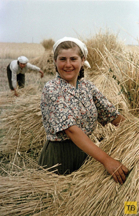 Серия цветных фотографий советского фотографа С. Фридлянда: " Жизнь в СССР в 1950 году" (25 фото)