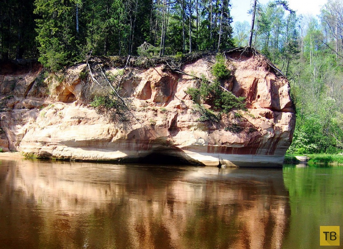 Национальный парк Гауя — самый живописный и большой национальный парк в Латвии (11 фото)