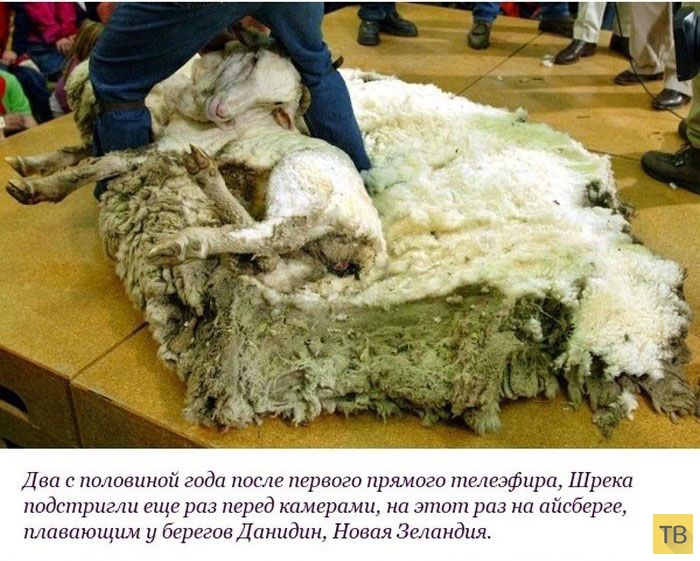 ��������� ������� ������ �� ������ "����" (10 ����)