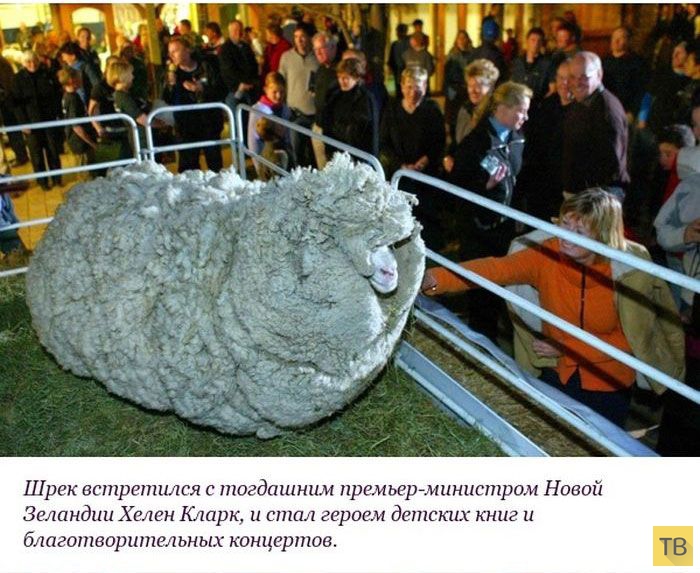 ��������� ������� ������ �� ������ "����" (10 ����)