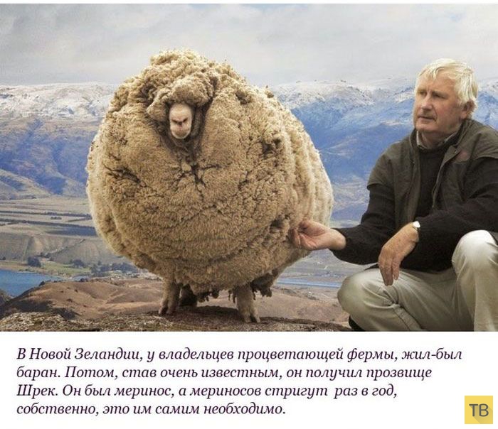 ��������� ������� ������ �� ������ "����" (10 ����)