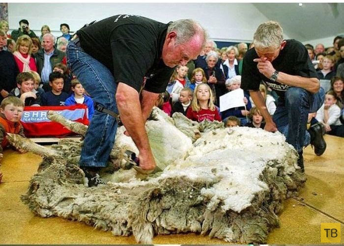 ��������� ������� ������ �� ������ "����" (10 ����)