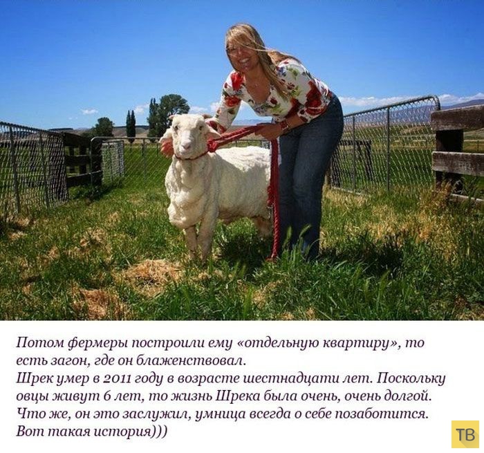 ��������� ������� ������ �� ������ "����" (10 ����)