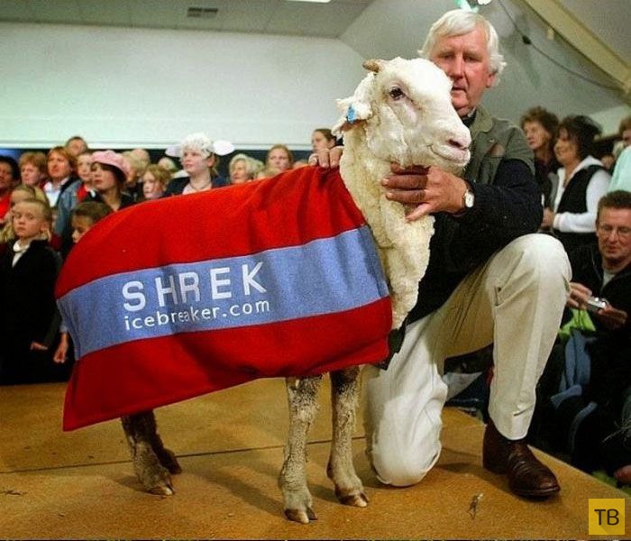 ��������� ������� ������ �� ������ "����" (10 ����)