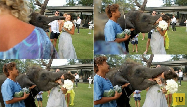 ��������� ��������� ���������� (27 ����)