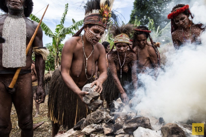 Племена папуасов - фоторепортаж из долины Балием (17 фото)